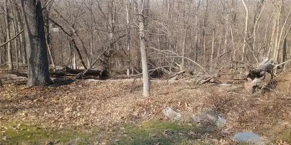 TBD LOT 46 BLOOMINGTON Drive