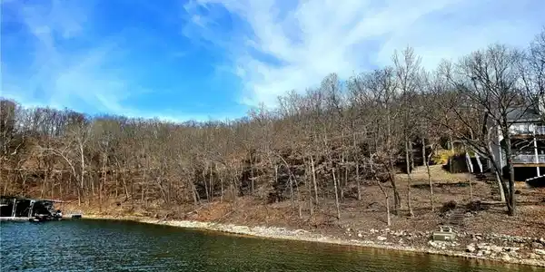 Palisades Drive