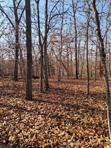 Lots 4 & 5 South Buck Creek Road