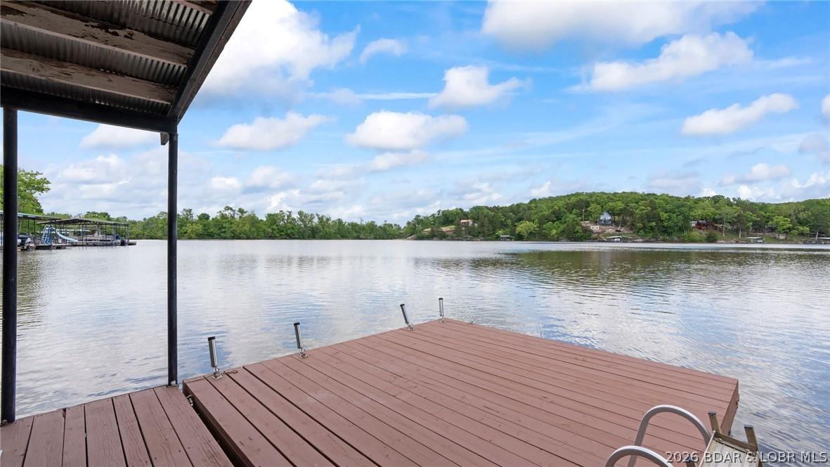 Image 2: Swim Platform