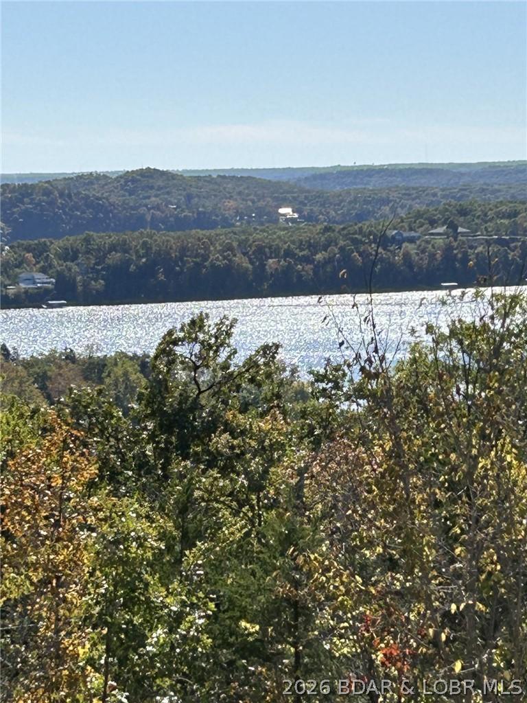 Image 3: Lake View