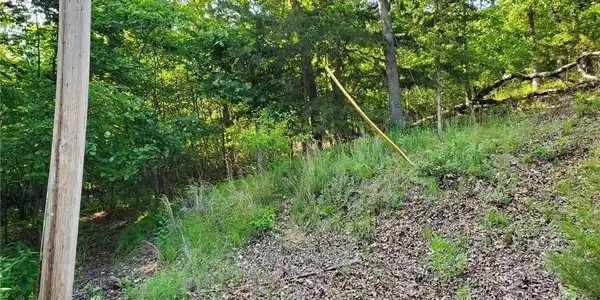 Alcorn Hollow Road