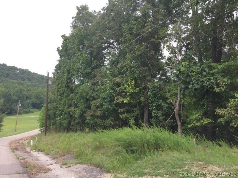 Image 3: Paved Roads