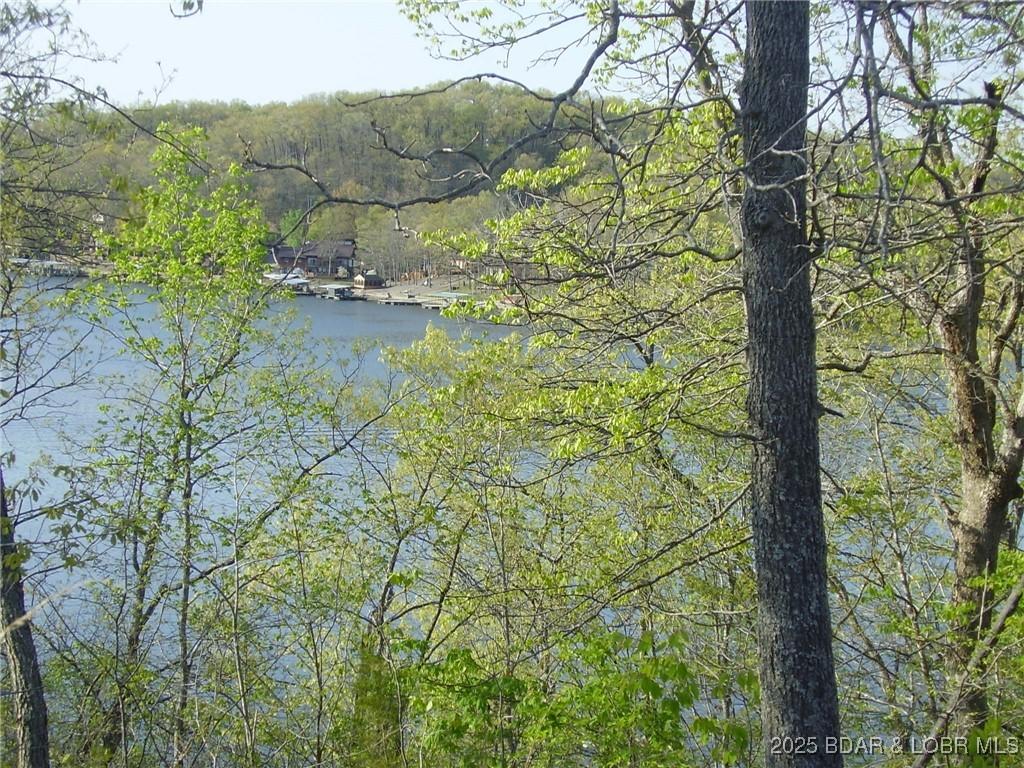 Image 2: Lake View