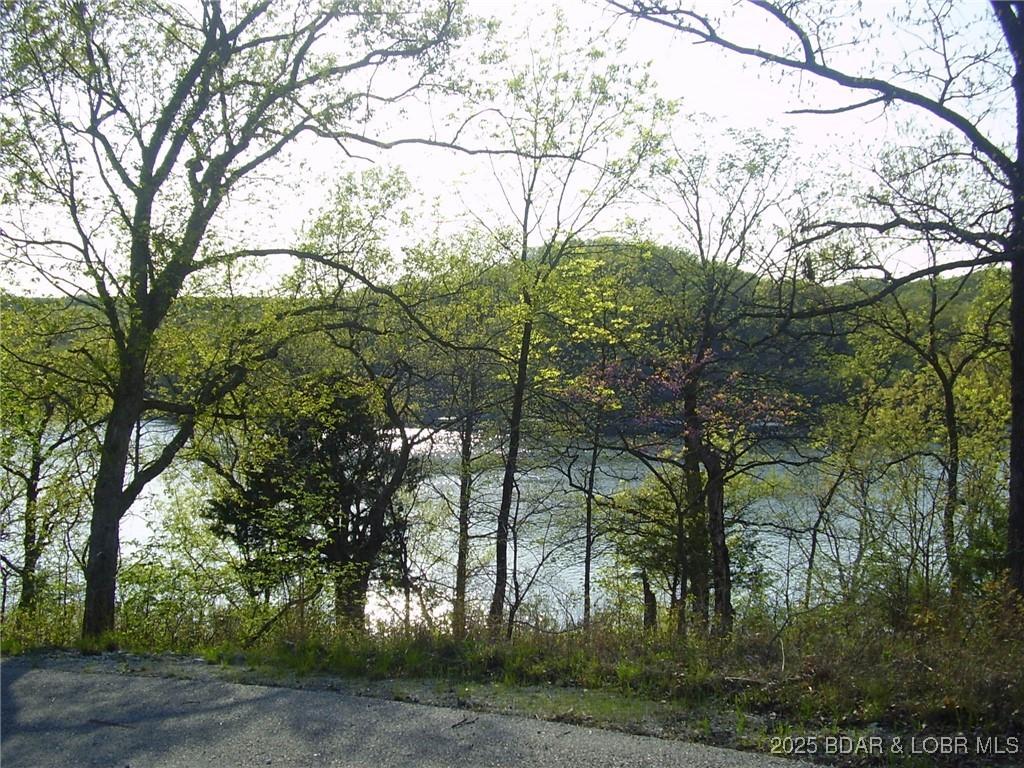 Image 3: Osage 55 MM