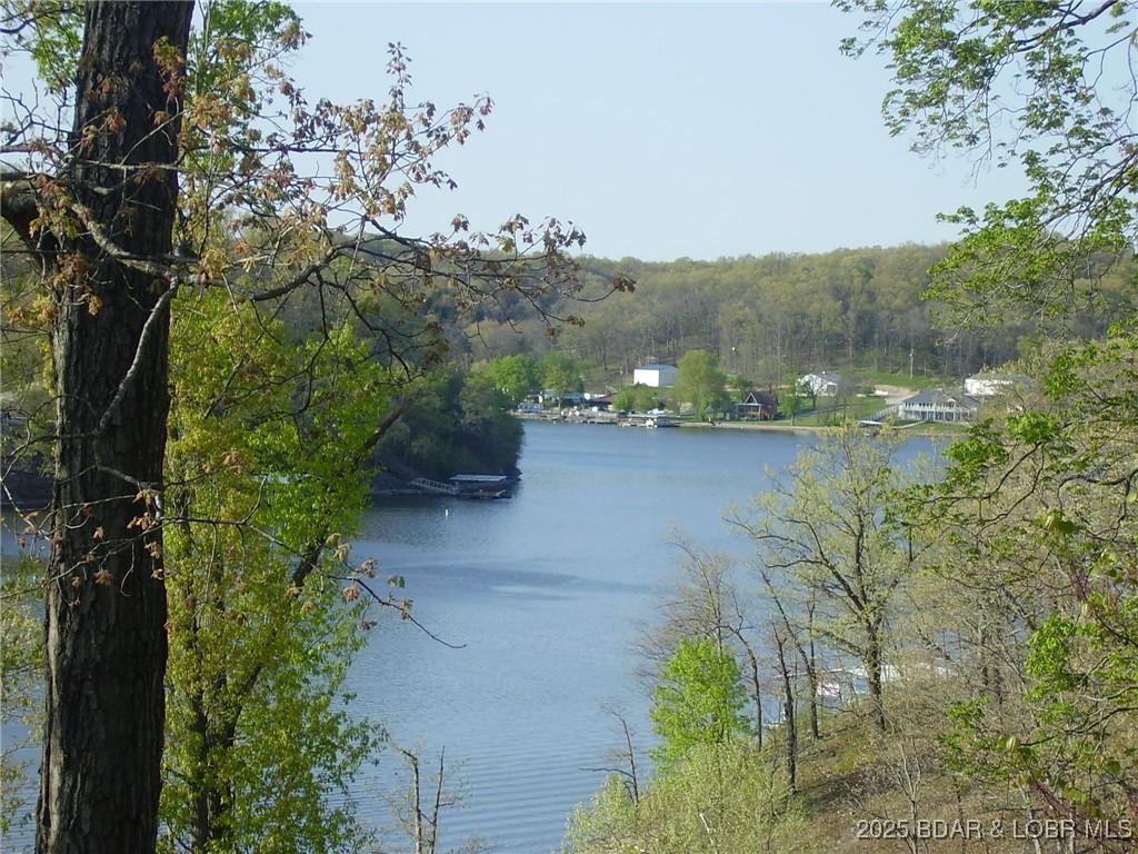 Image 4: Lake View