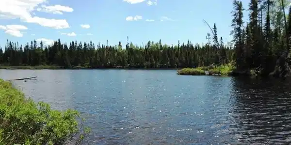 Parcel B Gunflint Tr
