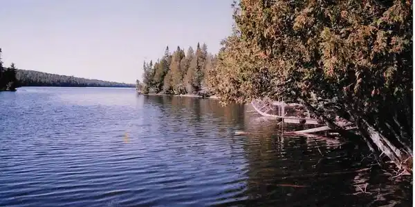 2XX E Deeryard Lake Rd