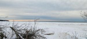 897xx Bark Point Rd