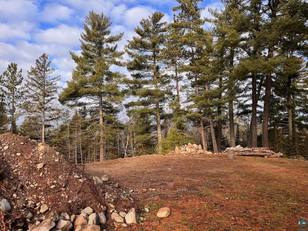 Image 2: View of nature, View
