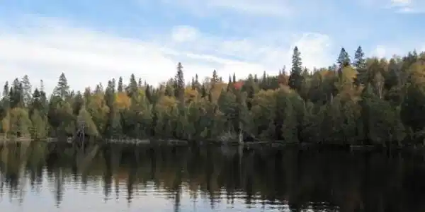 105X Tom Lake Rd