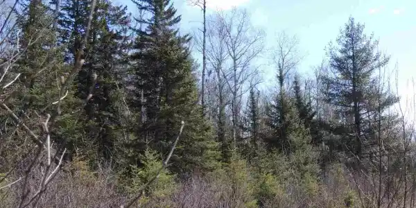 106X Devil Track Rd