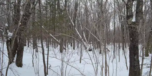 Lot 2 Sawmill Ln