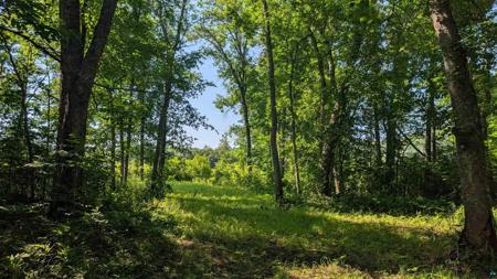 TBD Cemetery Rd
