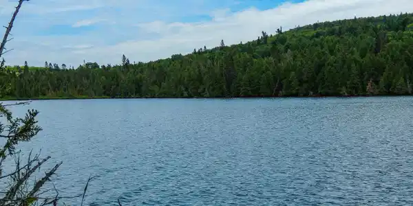 210 E Deeryard Lake Rd