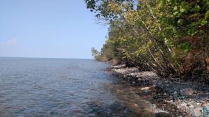 Lot 6 Hwy 13