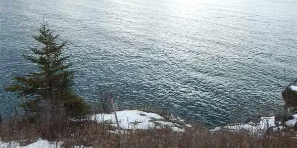 40X Beacon Hill Dr