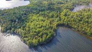 95240 Pine Island