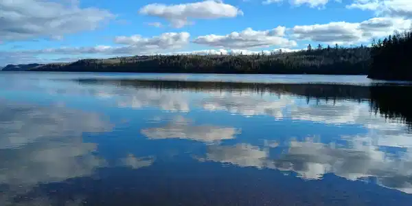XXXX Gunflint Tr