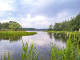 1445 Shagawa River