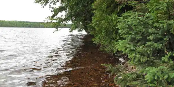 240 Deeryard Lake Rd