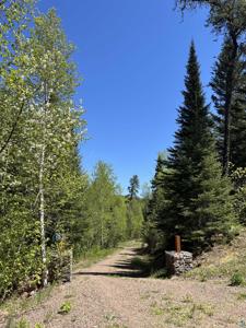 73 Tofte Cabin Tr