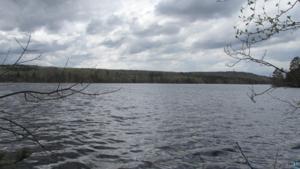5624 Birchbark Landing