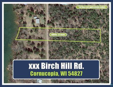 ---- Birch Hill Rd