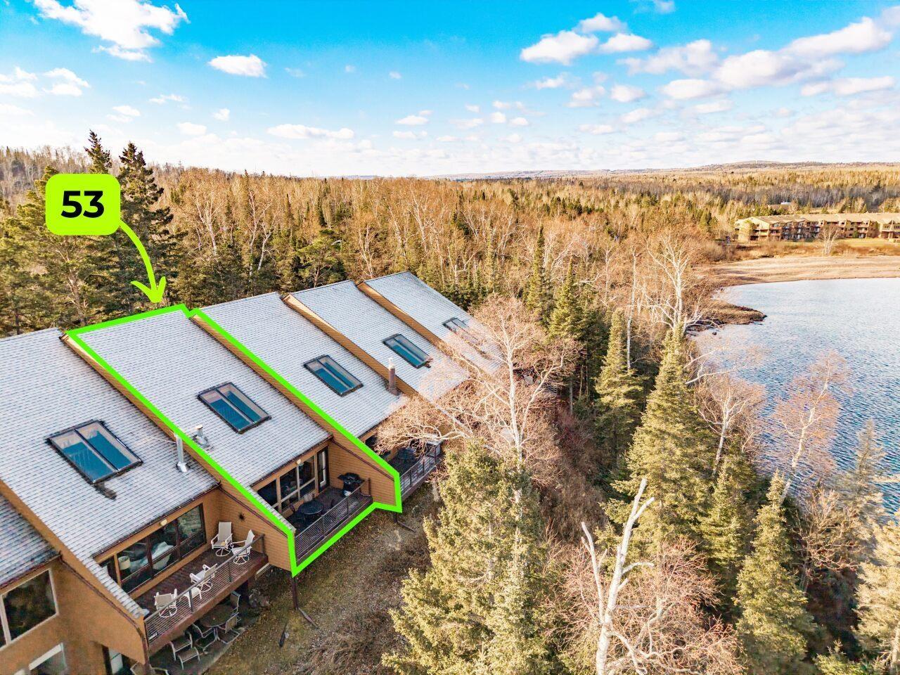 Image 2: Bird's eye view of a forest and a large body of water, Aerial View