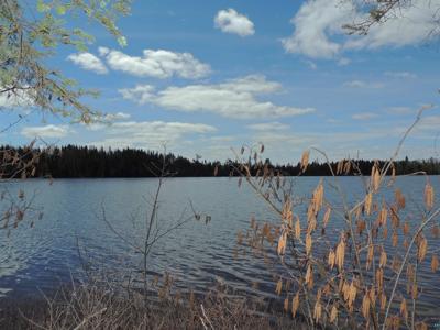 76XX Gunflint Tr