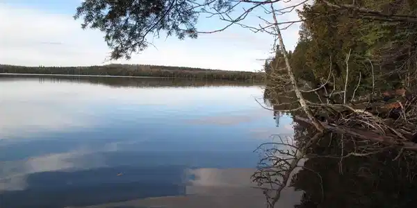 260 Deeryard Lake Rd