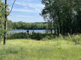 11850-90 Perch Lake Dr