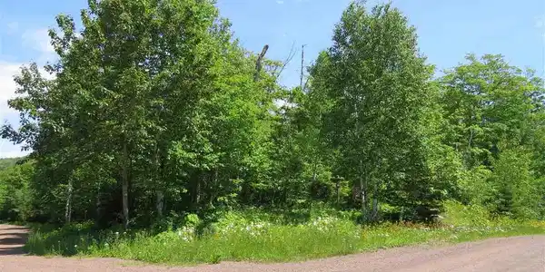 Lot 14 Sawmill Bay