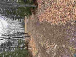 5399 Old Cabin Rd