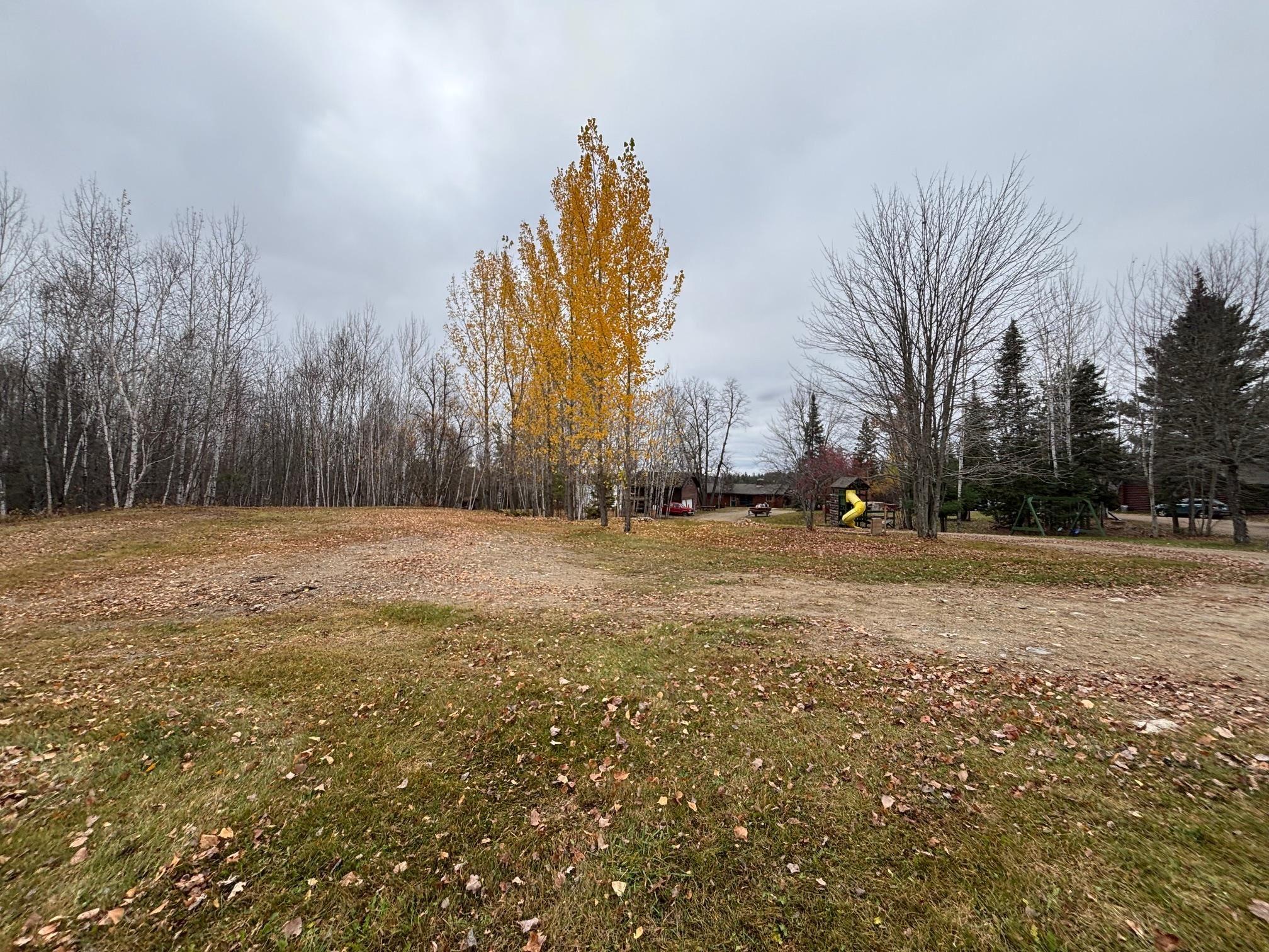 Image 0: View of yard, Yard