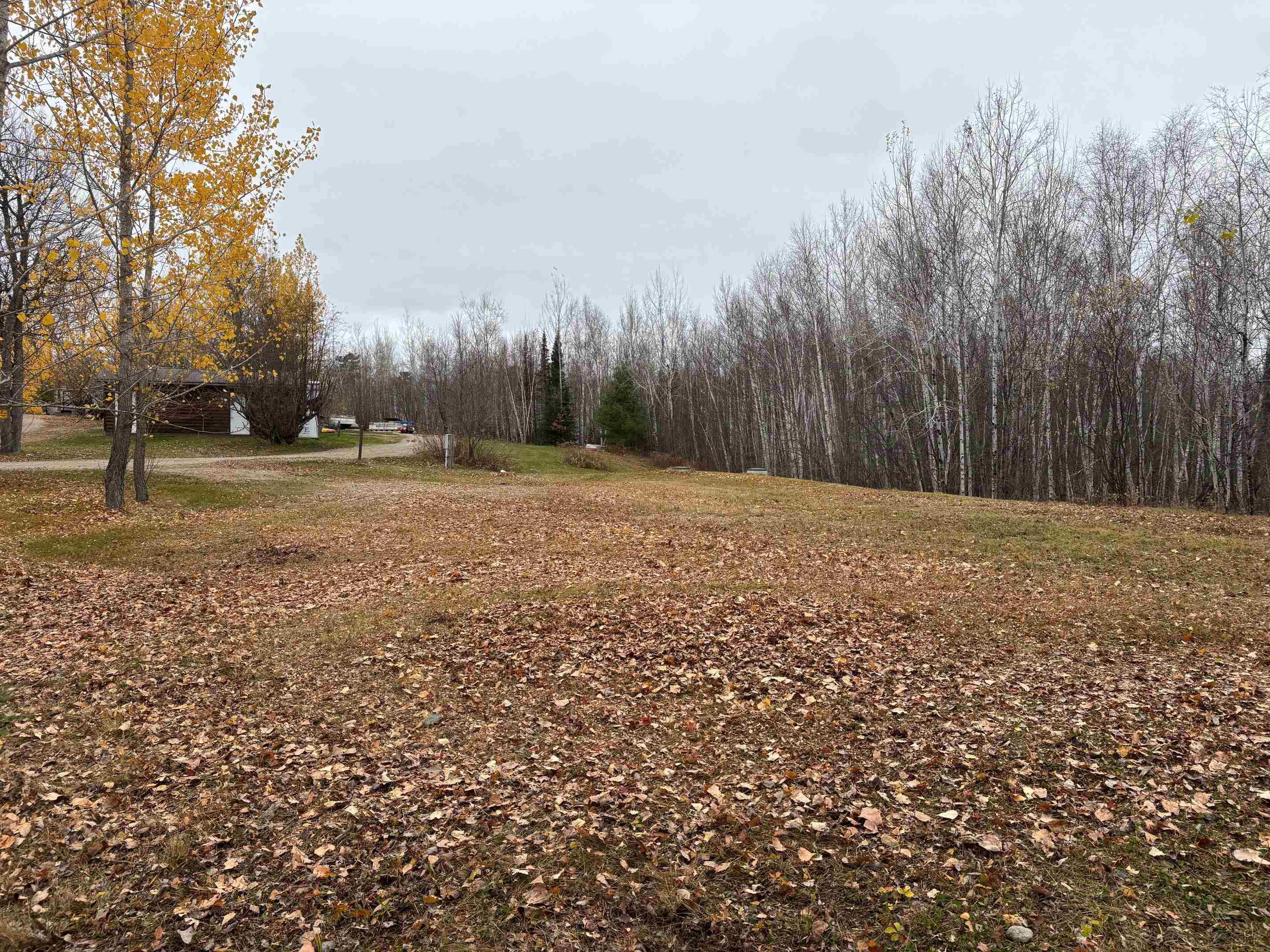 Image 2: View of yard with a wooded view, Yard