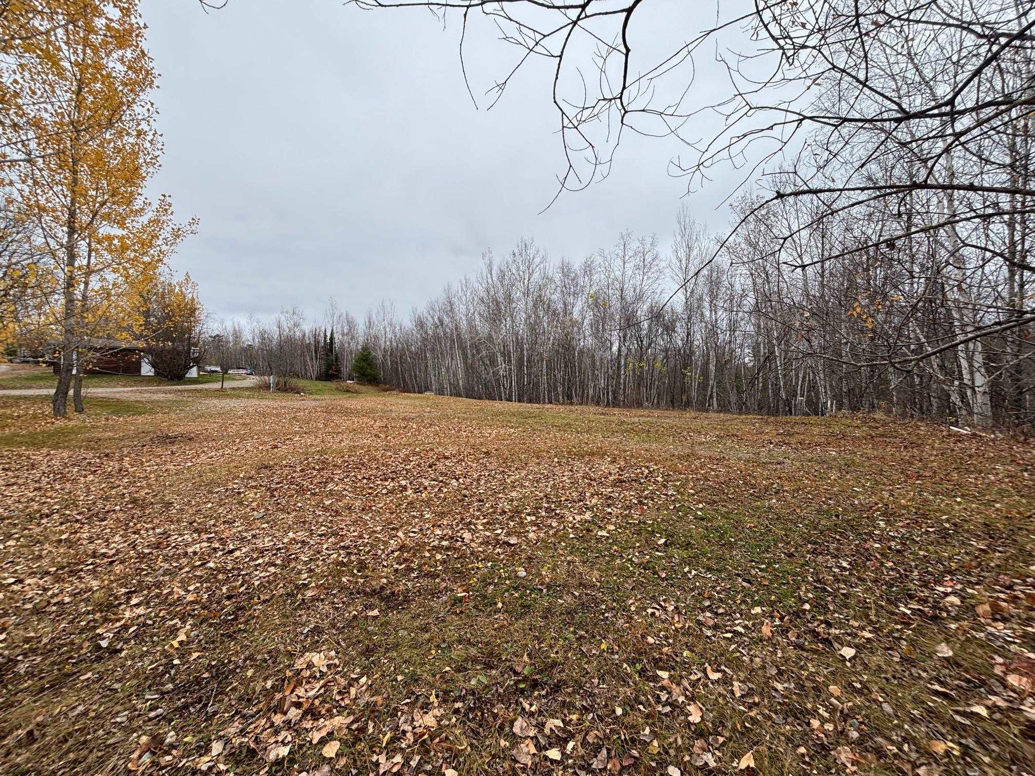 Image 3: View of yard, Yard