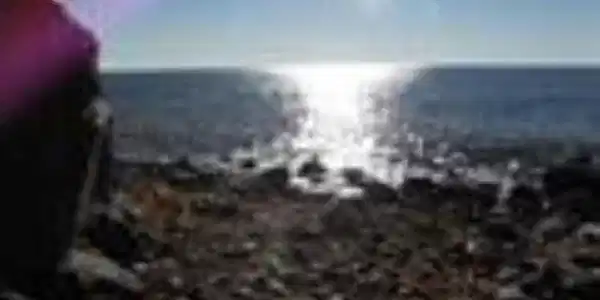 xxxx Hwy 61