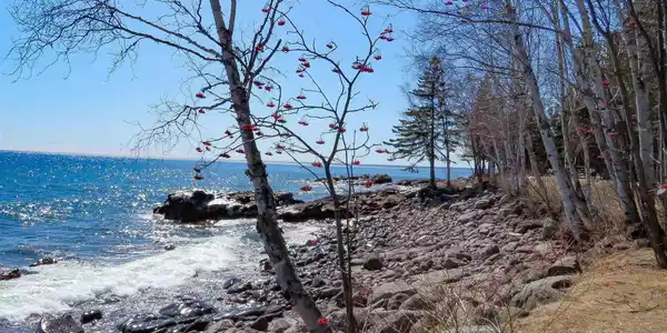 6292 Sea Villa Loop