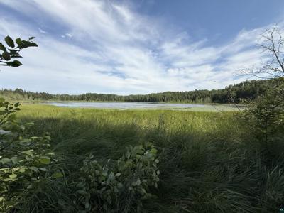 12015 Luna Lake Rd