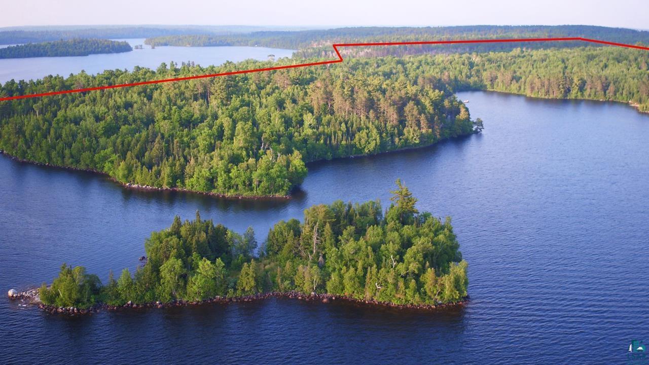 Image 3: Bird's eye view of a heavily wooded area and a large body of water, Aerial View