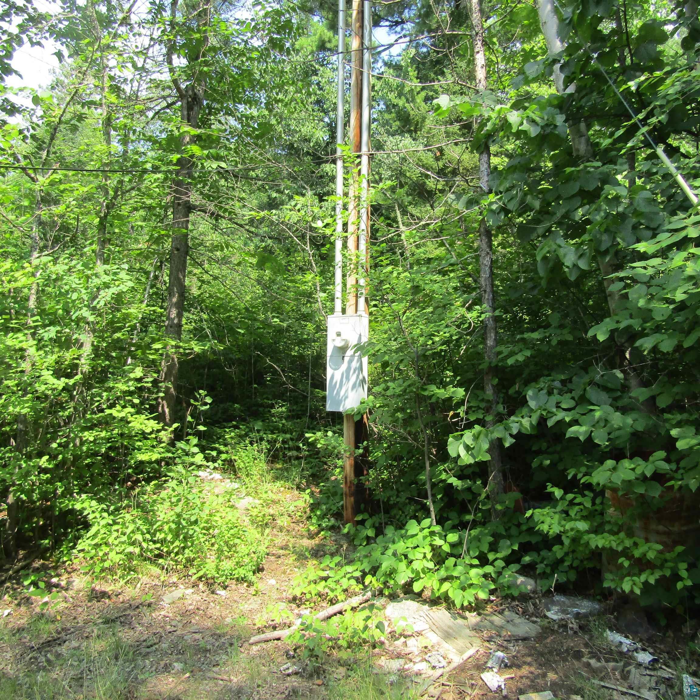 Image 1: Wooded lot with mature trees and dense foliage, Electric Meter Pole