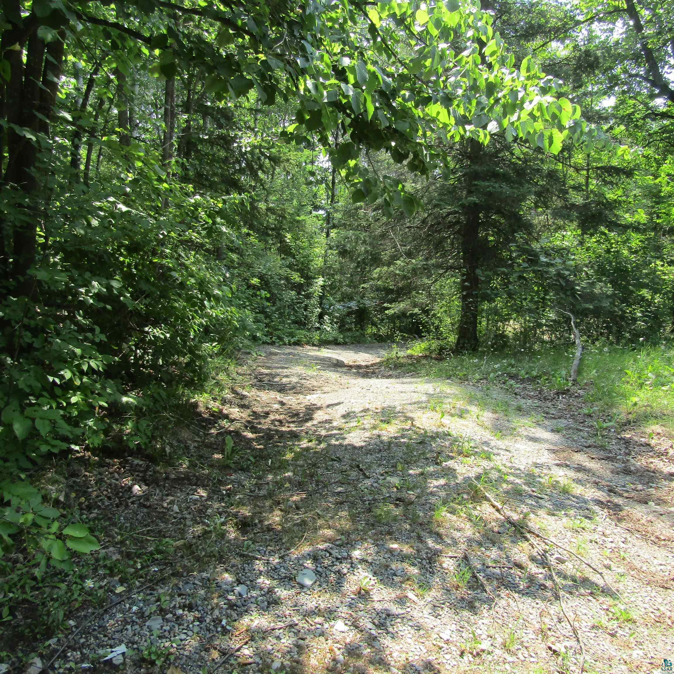 Image 3: Gravel pathway framed by dense foliage and mature trees, Driveway