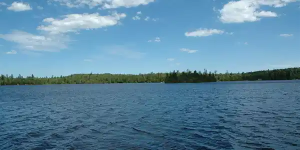 13XX Tom Lake Rd