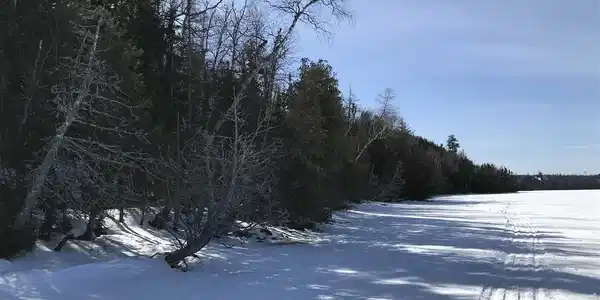 #3 Fox Ridge