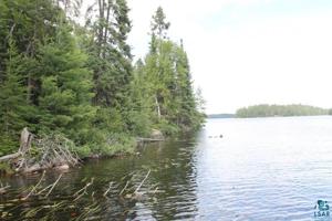 TBD Elbow Lake
