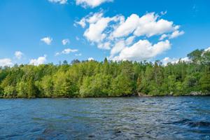 TBD Pine Island