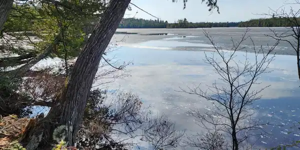 77XX Gunflint Tr