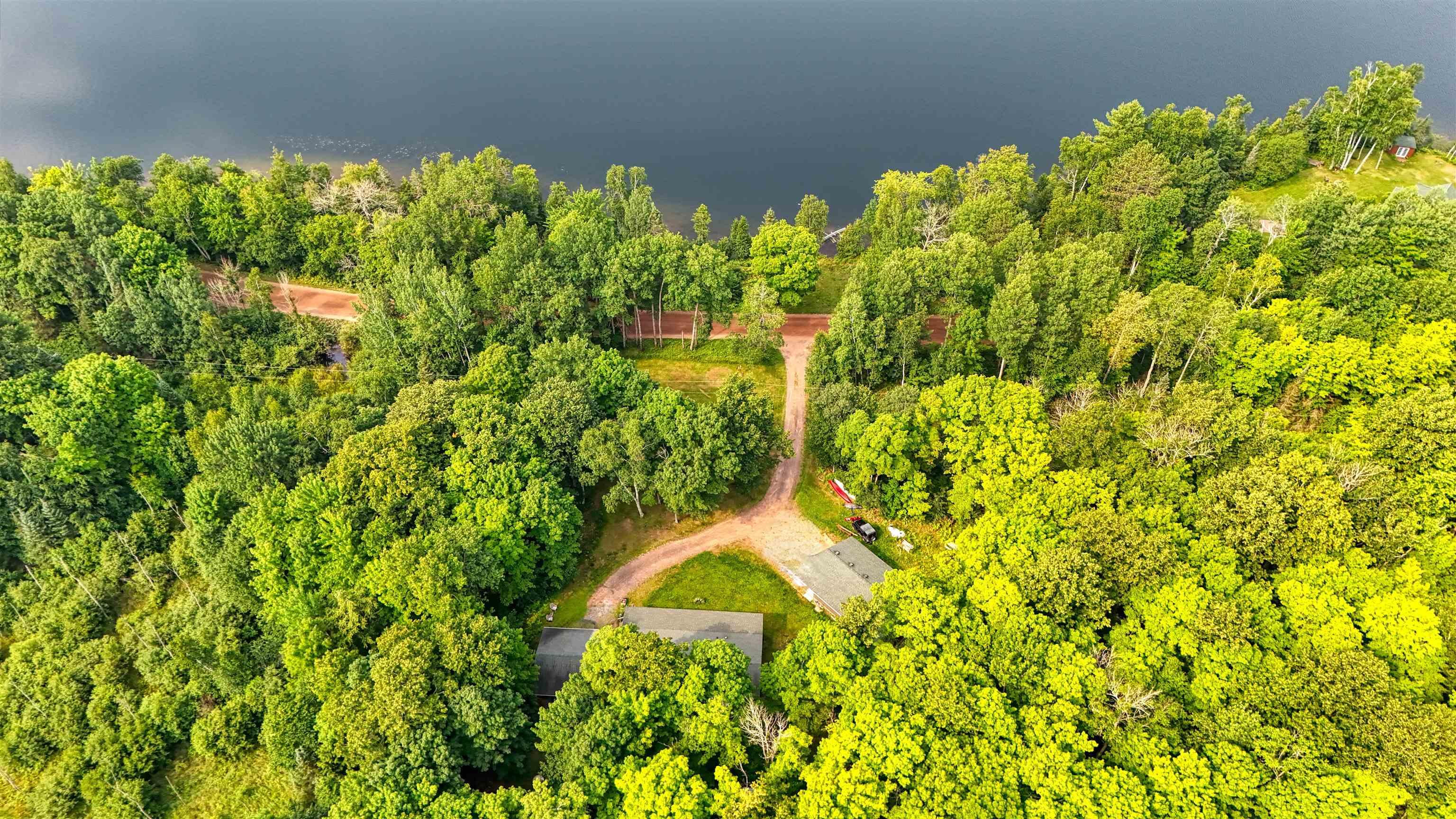 Image 0: Bird's eye view of a heavily wooded area, Aerial View