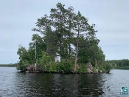 XXX Birch Lake